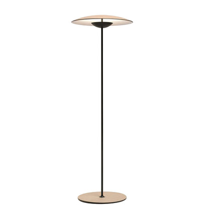 Innovative Directional Floor Lamp