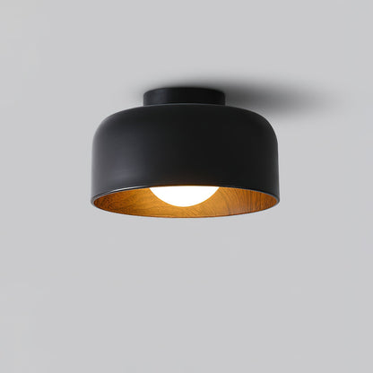 Lumosphere Ceiling Light