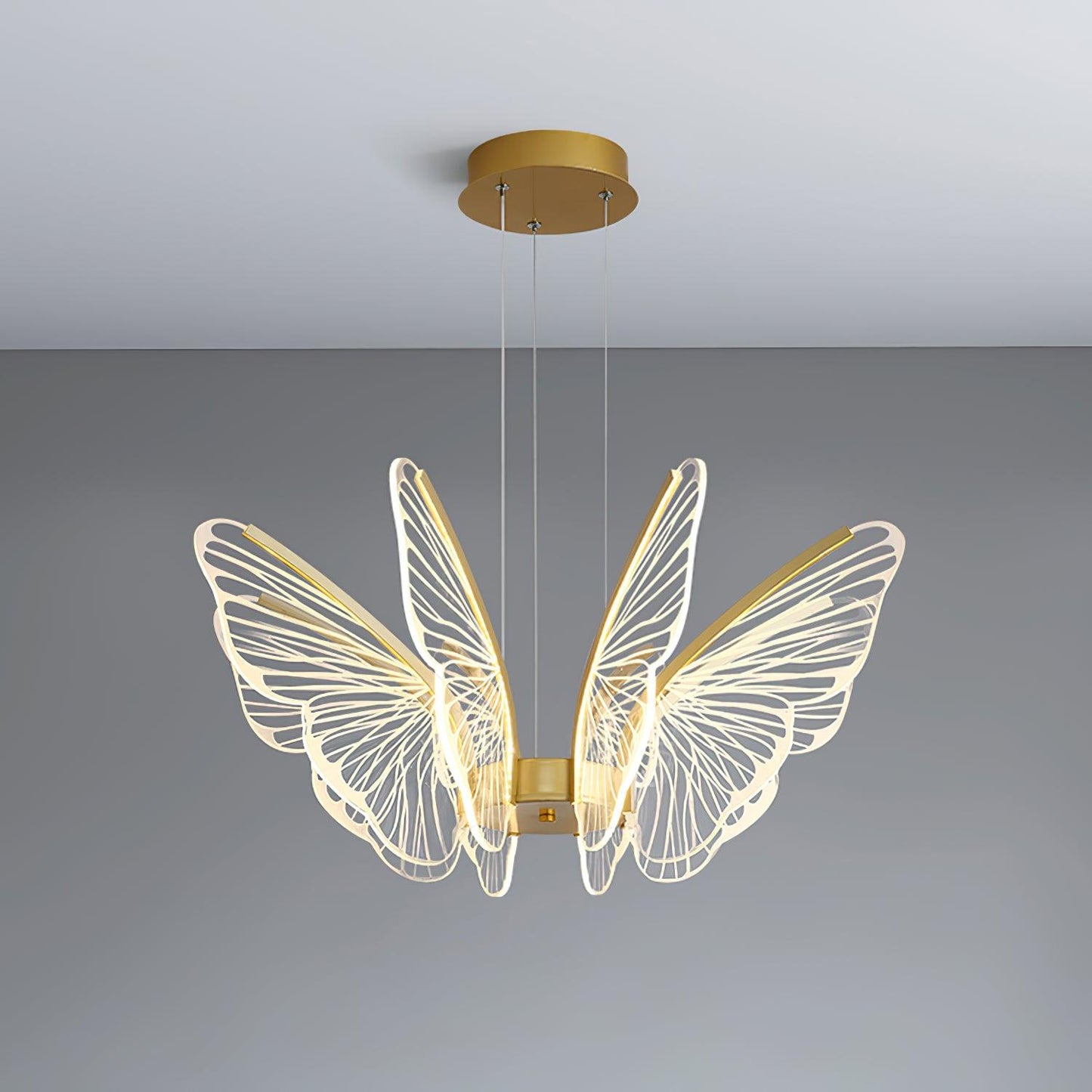 Phalaenopsis Chandelier